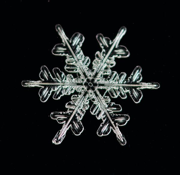 Is the Snowflake Test a "Snowflake"?